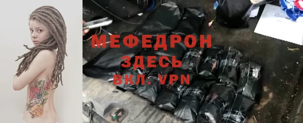 гашик Ельня