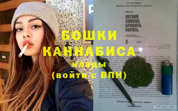 гашик Ельня