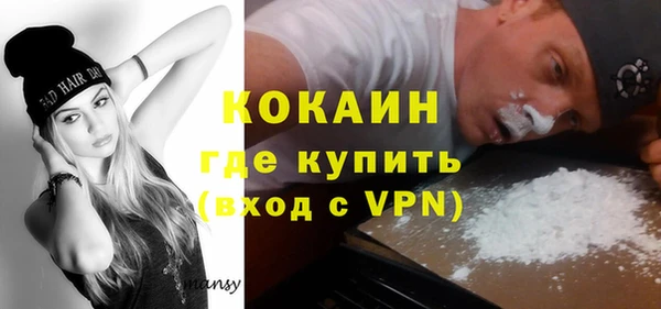 гашик Ельня
