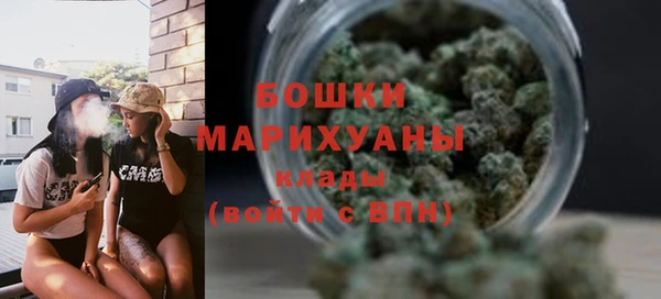 гашик Ельня