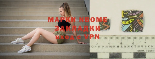 гашик Ельня