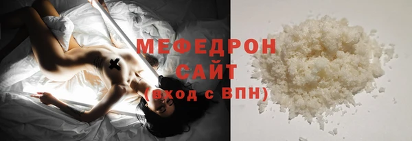 гашик Ельня
