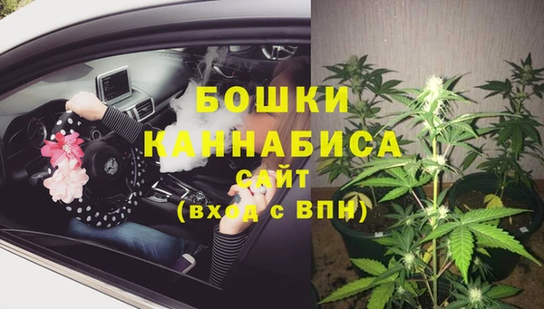 гашик Ельня