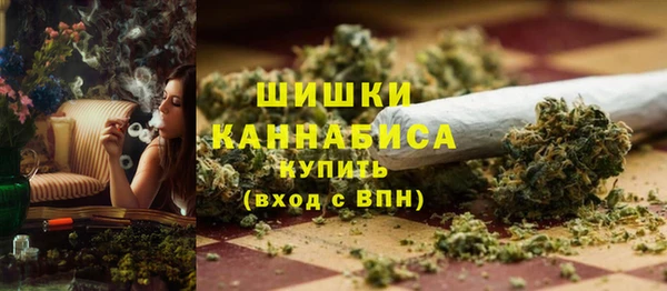 гашик Ельня