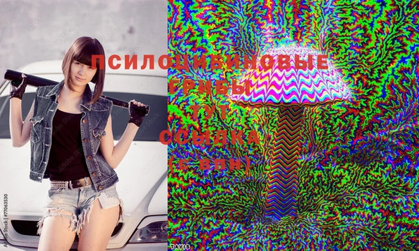 мяу мяу кристалл Елабуга