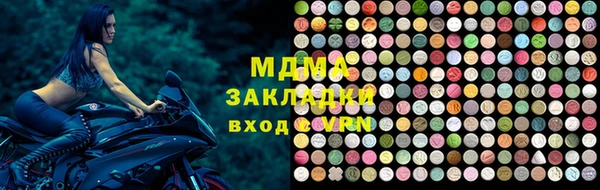 гашик Ельня