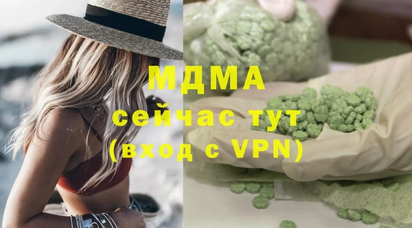 гашик Ельня