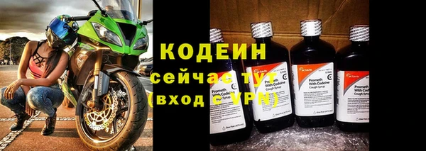 гашик Ельня