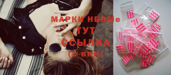 гашик Ельня