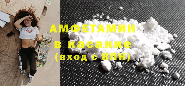 гашик Ельня