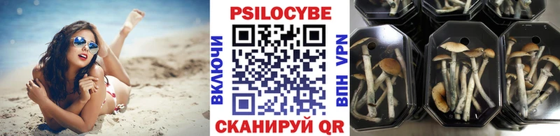 Галлюциногенные грибы GOLDEN TEACHER  Купить закладки  Домодедово 